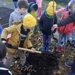 Dzień Drzewa w Zawierciu  (4).jpg