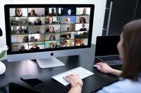 Videoconference with CINEA