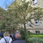 Spacer na katowicekiej Ligocie (19).jpg
