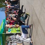 Activities during the Ecopicnic in Jastrzębie-Zdrój