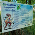 City game in Poręba.