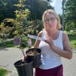 The winner of the competition with young maple seedlings.