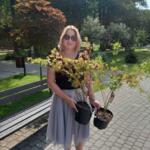 The winner of the competition with young maple seedlings.
