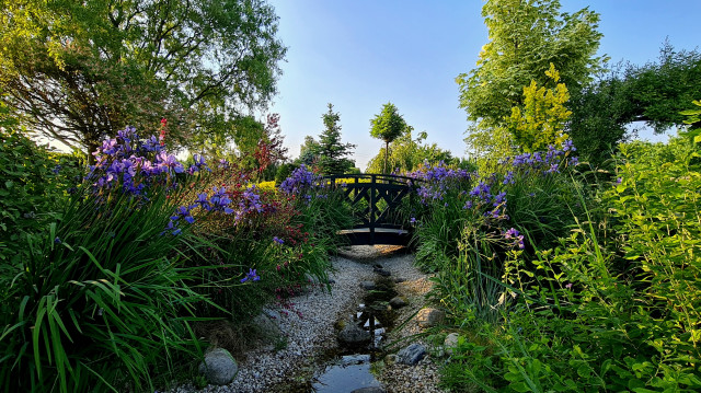 The garden of the winner of the "Gardens of Psary" competition.
