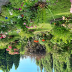 The garden of the winner of the 