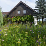 The garden of the winner of the 