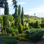 The garden of the winner of the 