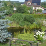 The garden of the winner of the 