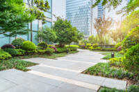 Green infrastructure amidst modern buildings.