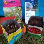 A gardening kit is lying on the grass: soil in two boxes, a wildflower seed packet, and a project brochure.