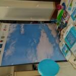 The eco-manager's information booth with educational materials.
