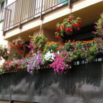 An awarded balcony adorned with flowers.