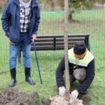Participants on the walk planting trees.