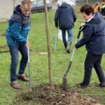 Participants on the walk planting trees.