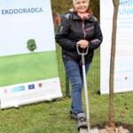 Participant on the walk planting trees.