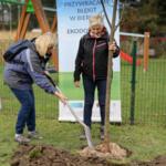 Participants on the walk planting trees.