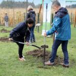 Participants on the walk planting trees.