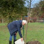 Participant on the walk planting trees.