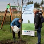 Participants on the walk planting trees.