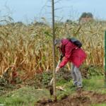 Participants on the walk planting trees.