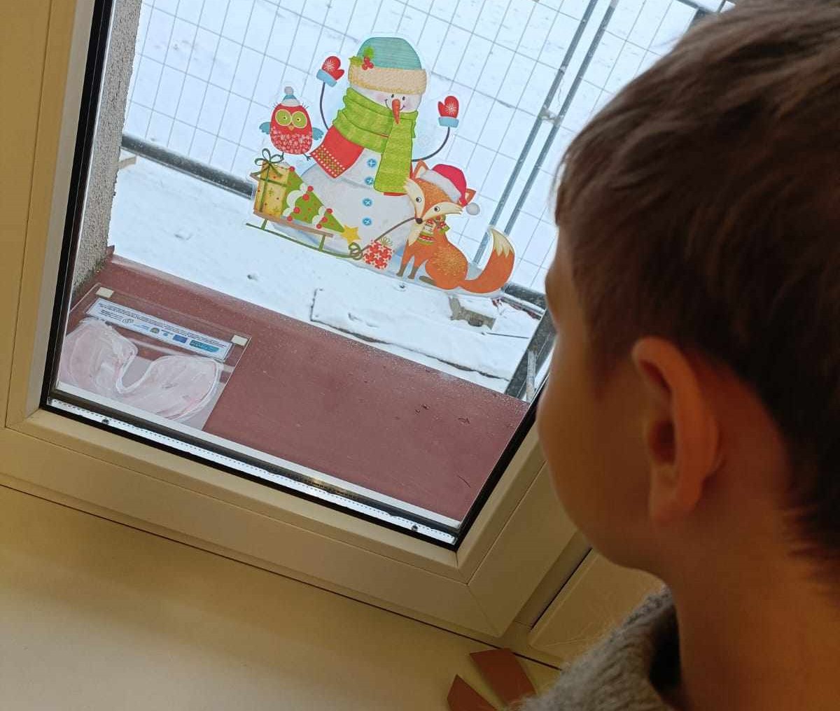 A boy looking at a model of lungs through a window.