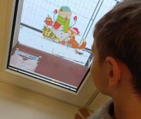 A boy looking at a model of lungs through a window.