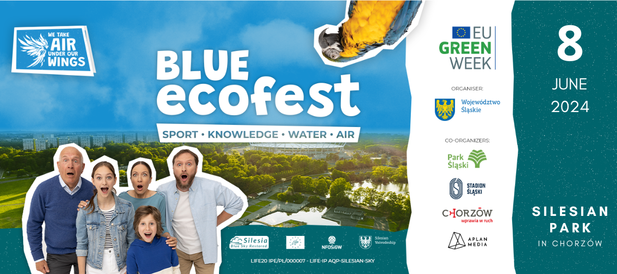 Blue ecoFest Poster