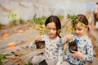 dwie dziewczynki sadzące rośliny w doniczkach.