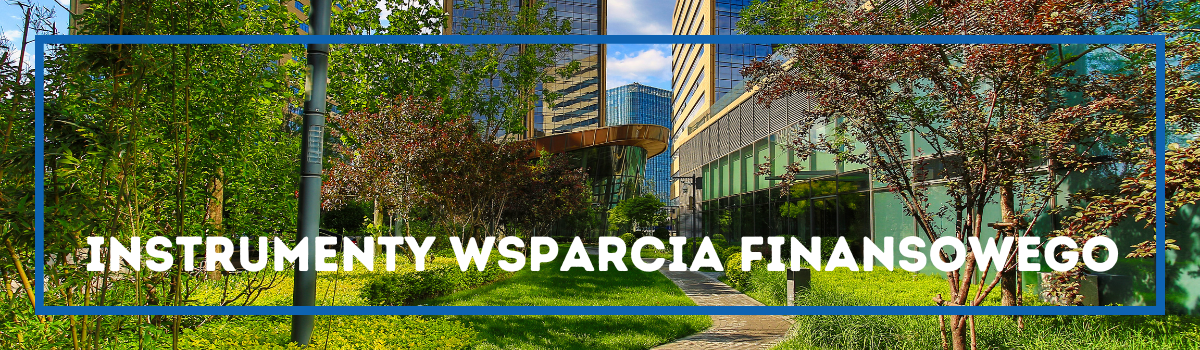 Instrumenty wsparcia finansowego - baner