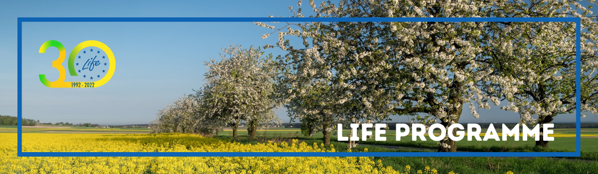 Landscape photo with blooming rapeseed, fruit trees and sunny sky