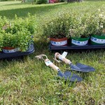 Warsztaty Cyrkularny ogród w Raciborzu  (14).jpg