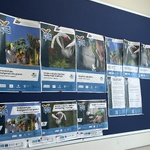 Recycling w plakatach_Jastrzebie_Zdrój  (5).jpeg