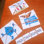 Gliwickie Święto Rodziny  (8).jpg