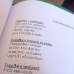 Gliwickie Święto Rodziny  (9).jpg