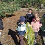 Cleaning Wold in Kroczyce  (4).jpeg