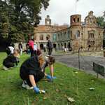 Sadzenie krokusów w Tworkowie  (8).jpg