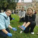 Sadzenie krokusów w Tworkowie  (7).jpg